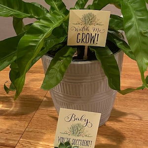 Jennifer added a photo of their purchase
