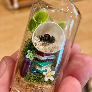 Rachel added a photo of their purchase