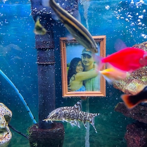 Lydia hat ein Foto des gekauften Artikels hinzugefügt