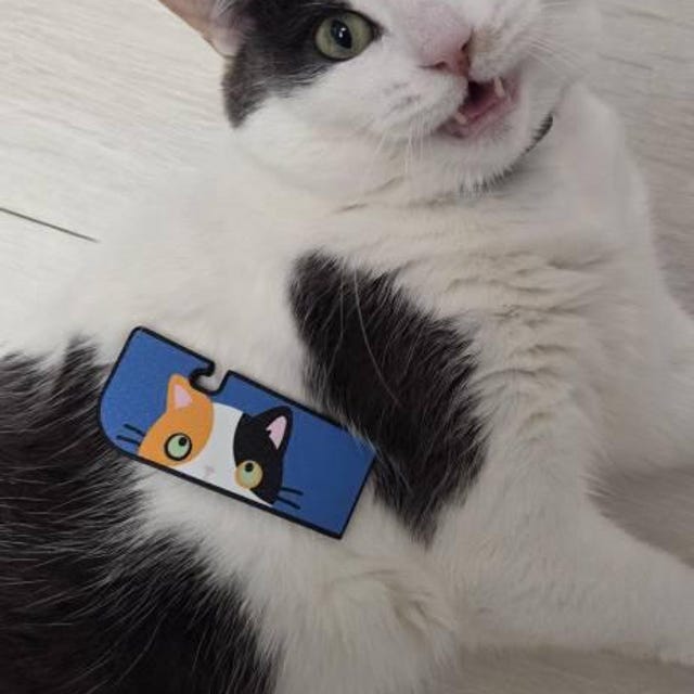 Tab Buddy XL Kitty - キャットフード缶のタブオープナーは、長い爪
