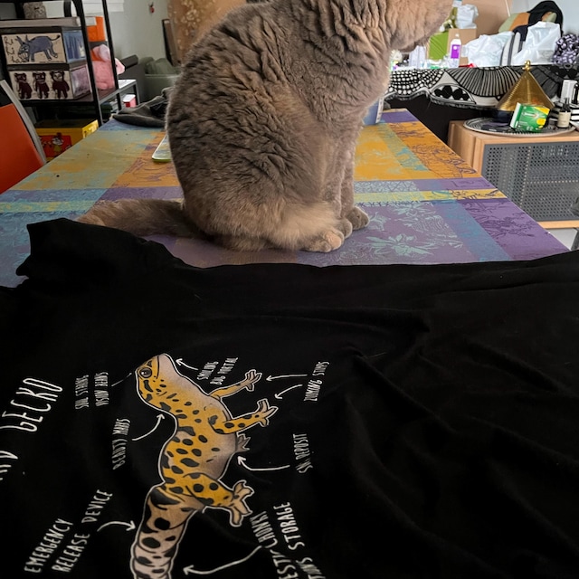 Siamese Cat Shirt, Women, Men, Funny Cat Lover Gift, Cute