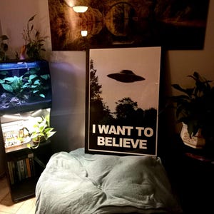 Xファイル ポスター X-ファイル I Want To Believe スーパーナチュラル