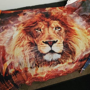 Maria added a photo of their purchase