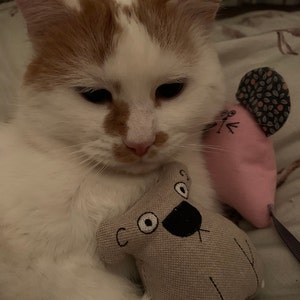 Eddie added a photo of their purchase