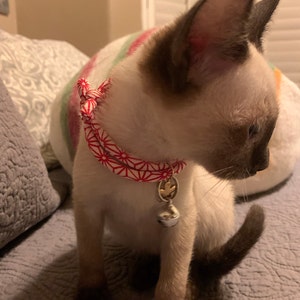 Beth a ajouté une photo de son achat