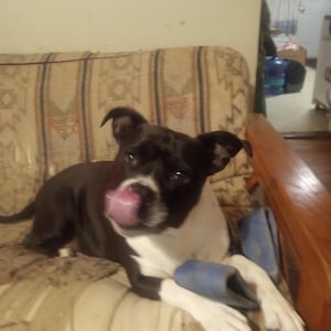 lawrence ha añadido una foto de su compra
