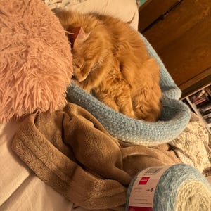 Heidi ha añadido una foto de su compra