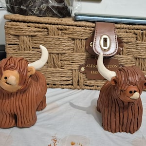 Alice added a photo of their purchase