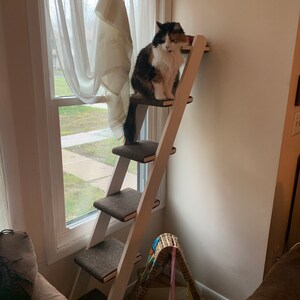step ladder cat tree