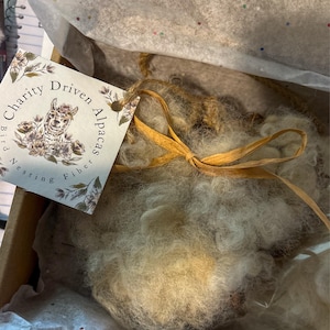 Ashlea added a photo of their purchase