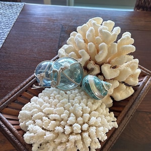 Susan added a photo of their purchase