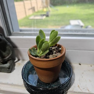 Brian added a photo of their purchase