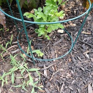 Sandra ha añadido una foto de su compra