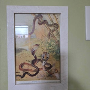 Olga added a photo of their purchase