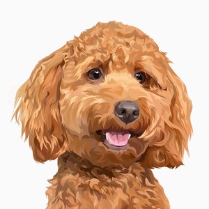 Alina さんが購入した商品の写真を追加しました