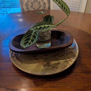 D added a photo of their purchase