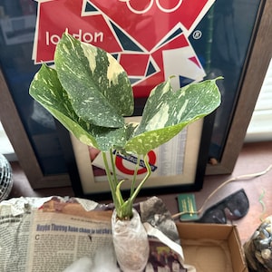 Aaron added a photo of their purchase