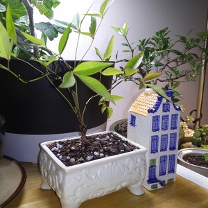 Bonsai Tree Soil – 2 Gallons – Tropical Mix