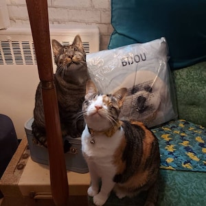 Comprador de Etsy ha añadido una foto de su compra