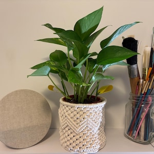 Etsy-Käufer:in hat ein Foto des gekauften Artikels hinzugefügt