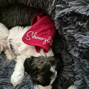 Evi added a photo of their purchase