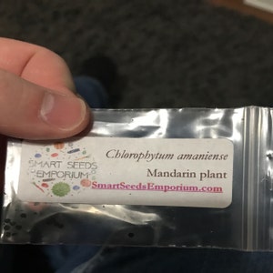 Billy added a photo of their purchase