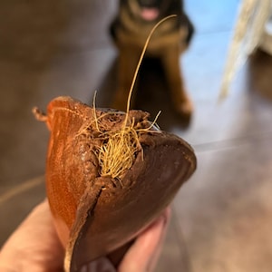 Courtney added a photo of their purchase