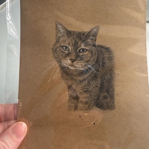 Breck added a photo of their purchase