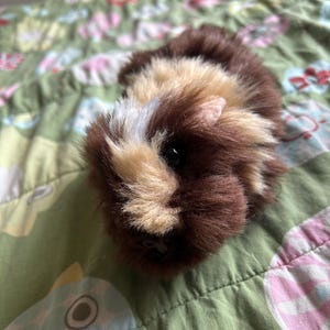 Isabelle hat ein Foto des gekauften Artikels hinzugefügt