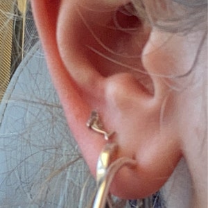 Elisa added a photo of their purchase