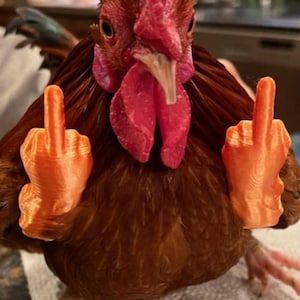 Middle Finger Chicken Arms Lets Birds Flip The Bird