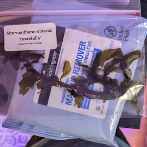 Adlai added a photo of their purchase