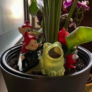Barbara added a photo of their purchase