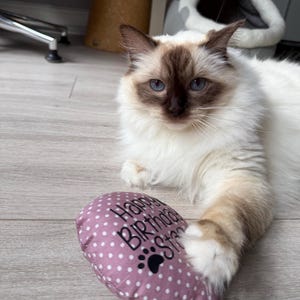 Sarah added a photo of their purchase