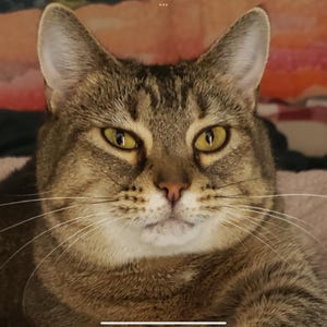 Howard added a photo of their purchase