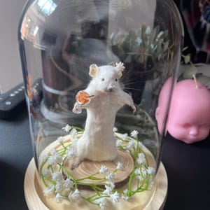 Ruth added a photo of their purchase