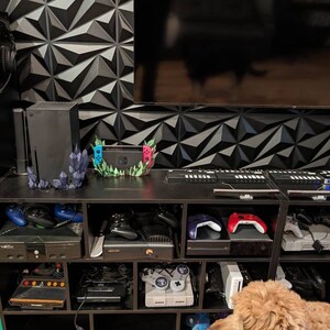 austin added a photo of their purchase