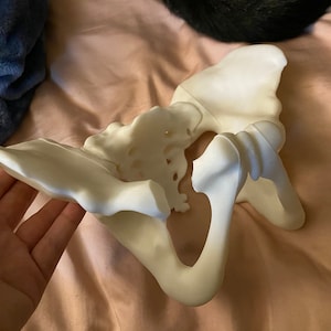 Hannah added a photo of their purchase