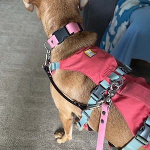 Katie added a photo of their purchase