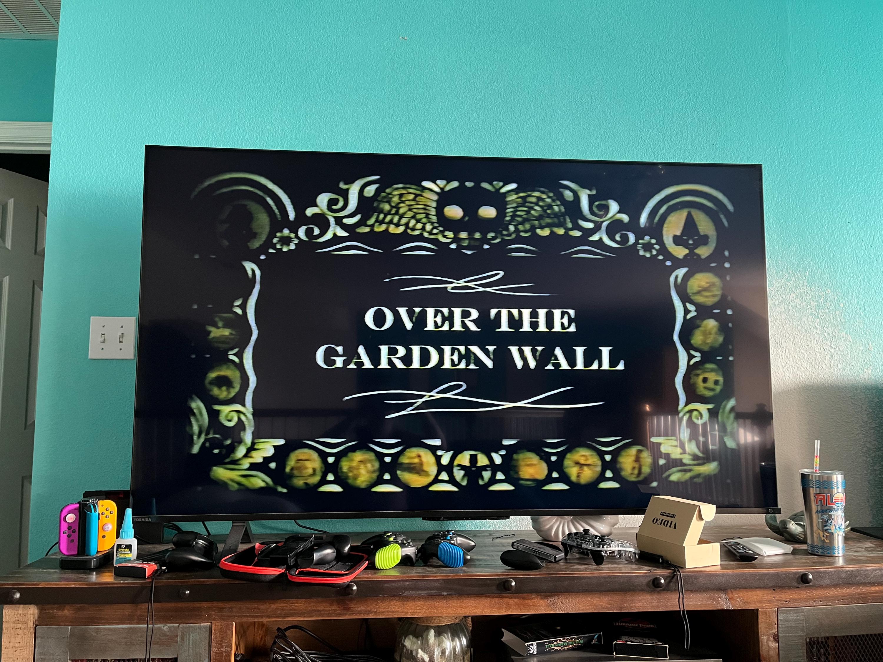 Over The Garden Wall the complete series on VHS!!