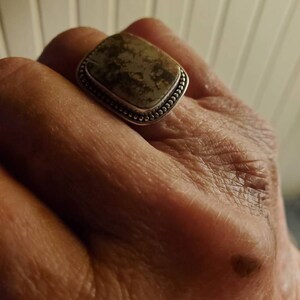 Lainie added a photo of their purchase