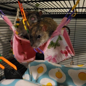 C added a photo of their purchase