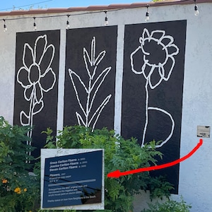 Jo added a photo of their purchase