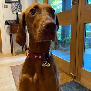 Sally added a photo of their purchase