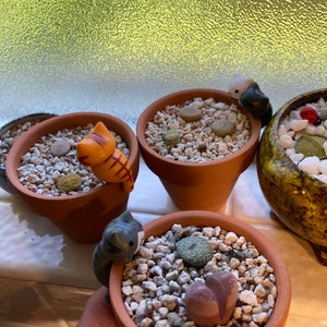 jana added a photo of their purchase