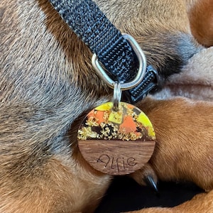 Sophie added a photo of their purchase