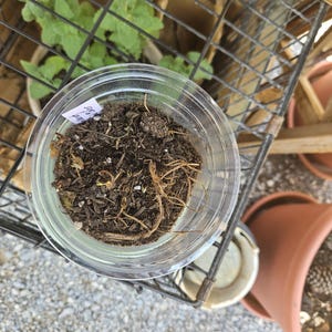 Janine dodał(a) zdjęcie swoich zakupów