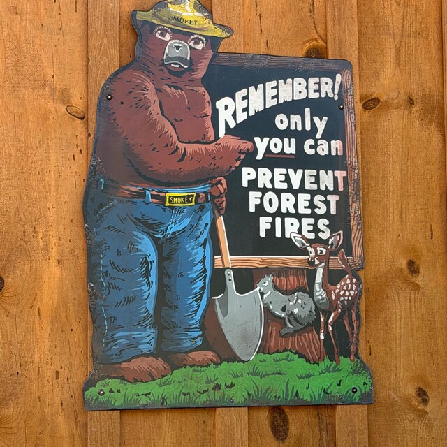 SMOKEY THE BEAR Vintage Faux Metal Sign - Etsy Israel