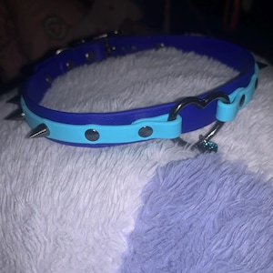 Ayleen added a photo of their purchase