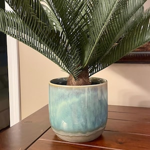 Tammy added a photo of their purchase